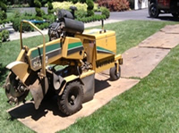 East-West Bay Stump Removal Safety