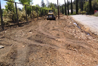 East West Bay Stump Removal - What We Do